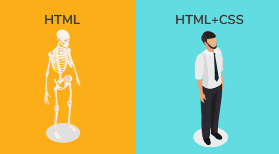 HTML &amp; CSS Fundamentals